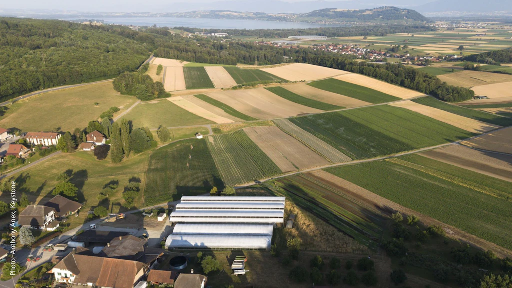 Politique agricole