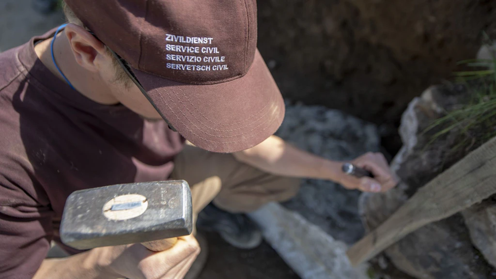 Legge sul servizio civile, LSC